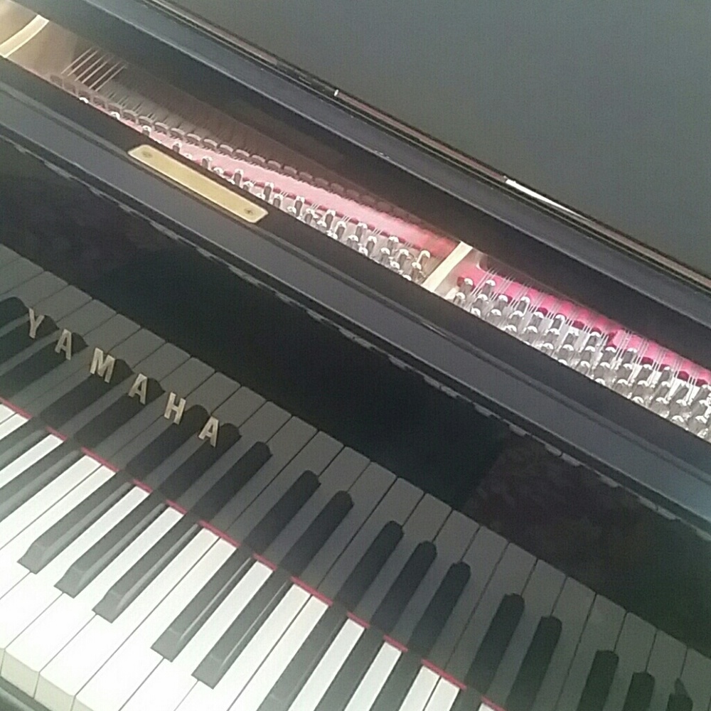 Meet your Posher, Kaarina